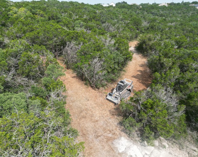skid steer mulching in wooded area